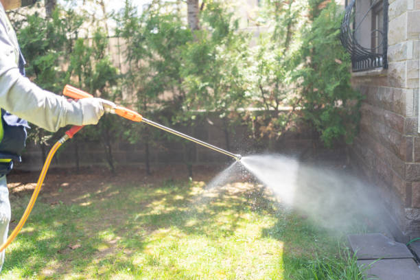 Best Wasp Removal Services  in Southwest Greensburg, PA