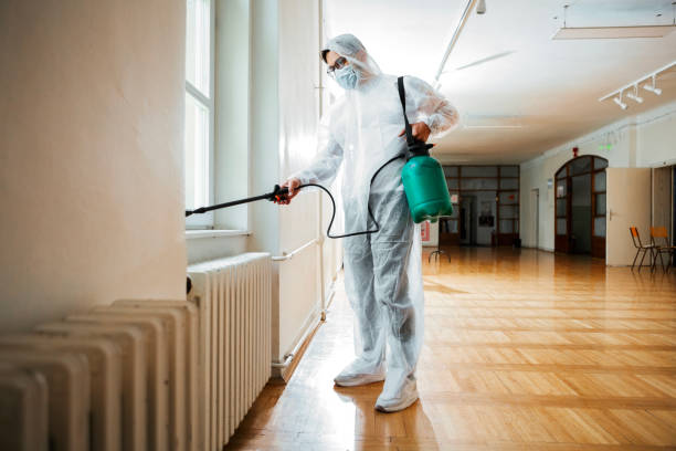 Wasp Removal Services in Southwest Greensburg, PA