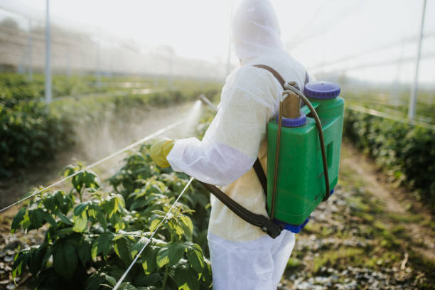 Best Affordable Pest Control Services  in Southwest Greensburg, PA